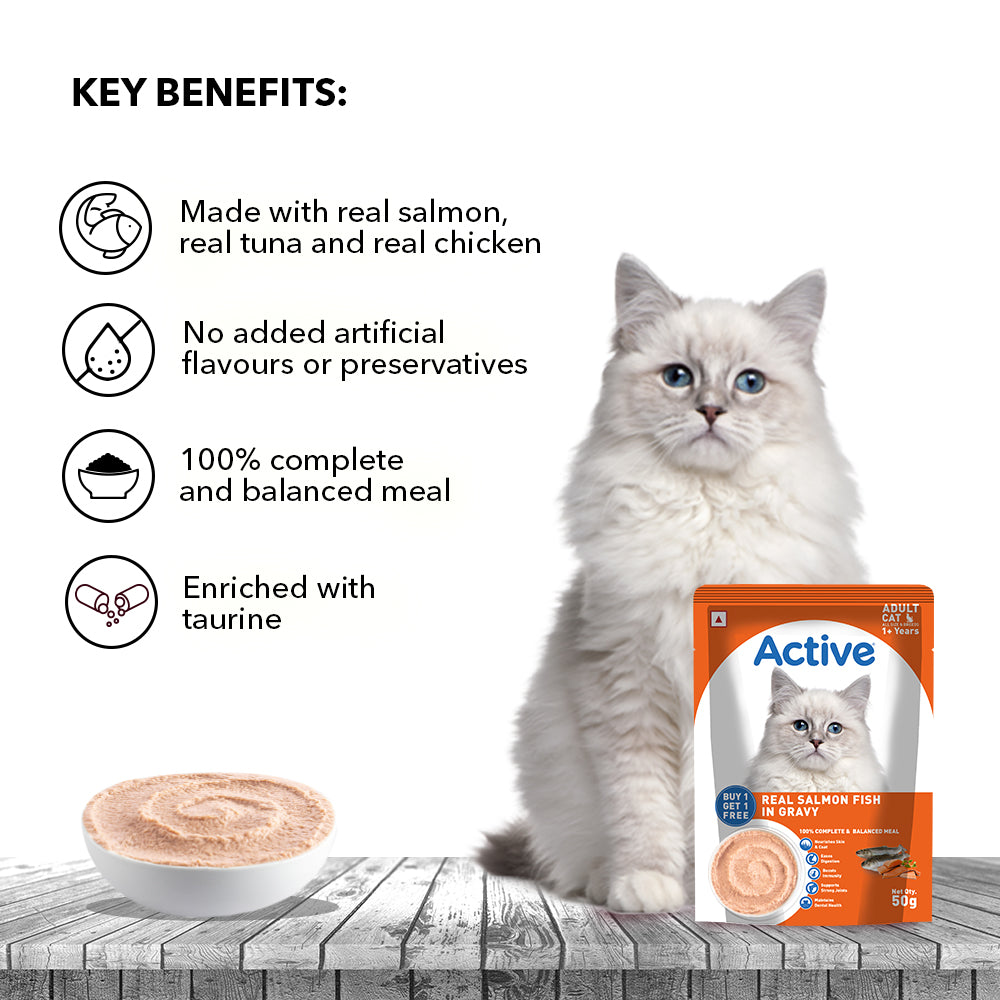 Active Real Salmon Fish in Gravy Adult Cat Wet Food ( Buy 1 Get 1 ) Cats-Wet Food Active