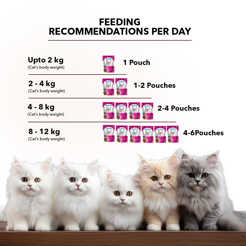 Active Real Tuna Fish in Gravy Adult Cat Wet Food ( Buy 1 Get 1 ) Cats-Wet Food Active