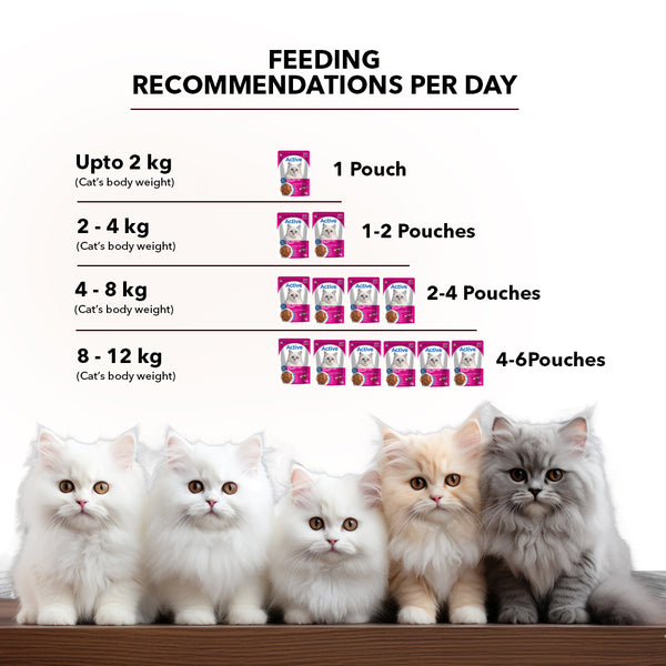 Active Real Tuna Fish in Gravy Adult Cat Wet Food ( Buy 1 Get 1 )