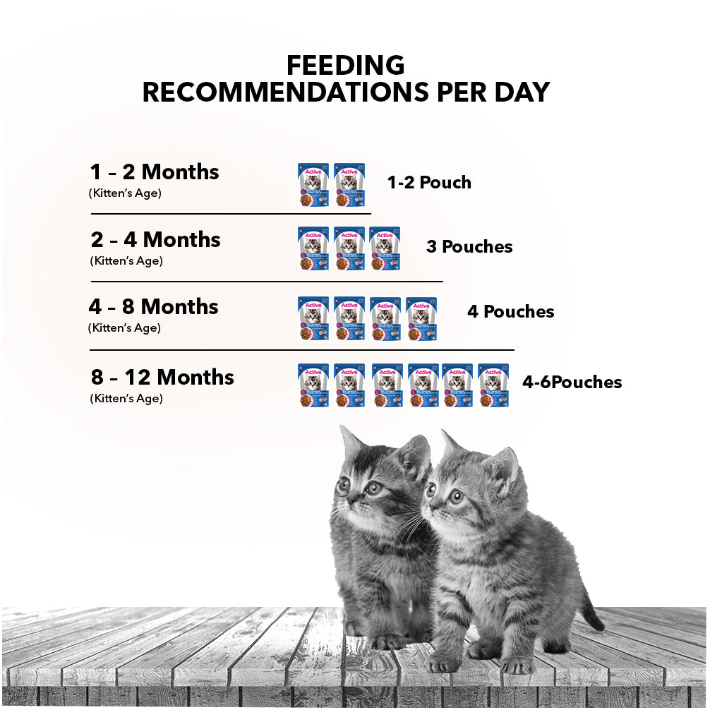 Active Real Chicken & Chicken Liver in Gravy Kitten Cat Wet Food ( Buy 1 Get 1) Cats-Wet Food Active