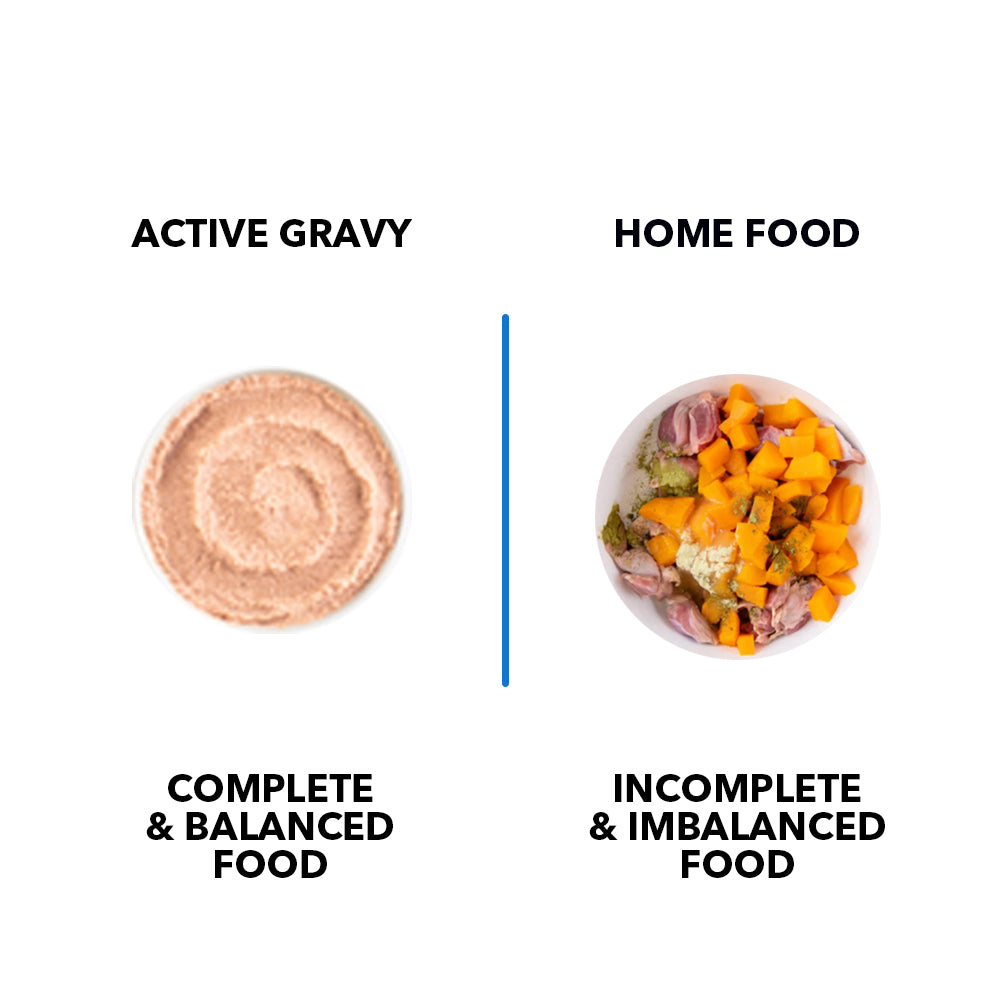 Active Real Chicken & Chicken Liver in Gravy Kitten Cat Wet Food ( Buy 1 Get 1) Cats-Wet Food Active