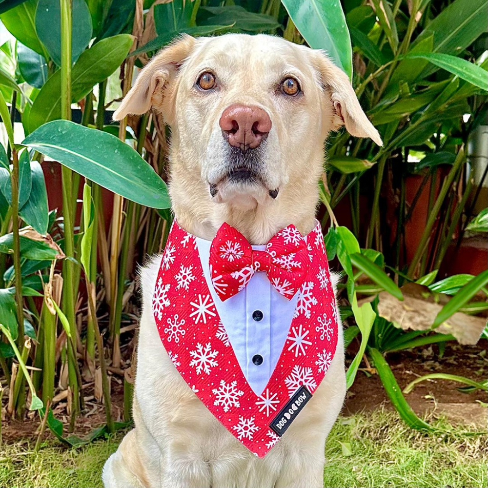 Dogobow Aztec Print Tuxedo Bandana for Dogs (Red) Dogs-Clothing & Accessories Dogobow Dropship