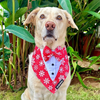 Dogobow Aztec Print Tuxedo Bandana for Dogs (Red) Dogs-Clothing & Accessories Dogobow Dropship