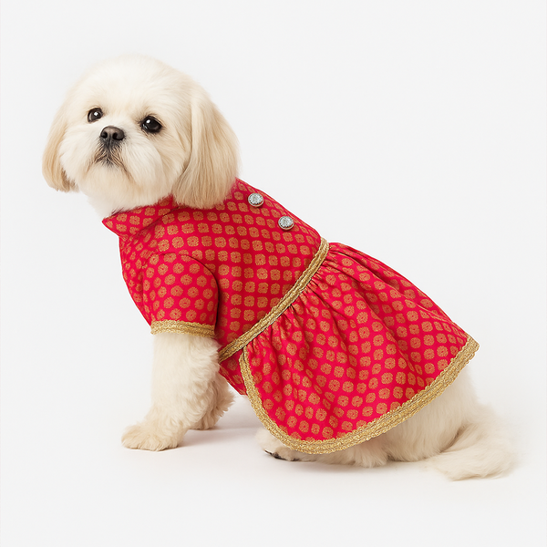 Pawsindia Traditional Royal Brocade Dress for Dogs (Red)