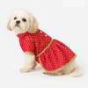 Pawsindia Traditional Royal Brocade Dress for Dogs (Red) Dogs-Clothing & Accessories Pawsindia Dropship M