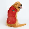 Pawsindia Traditional Royal Brocade Kurta for Dogs (Red) Dogs-Clothing & Accessories Pawsindia Dropship M