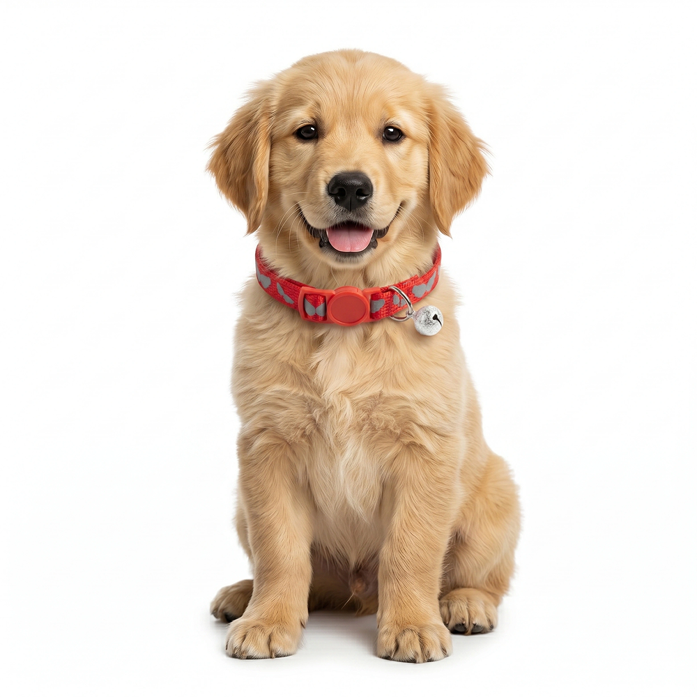Basil Printed Collar for Cats & Puppies (Red) Both-Collar, Leashes, harnesses Basil
