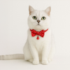 Skatrs Collar with Bow for Dogs and Cats (Red) Both-Collar, Leashes, harnesses Skatrs 8-12 in Neck