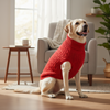 Skatrs Red Sweater For Dogs and Cats Both-Clothing & Accessories Skatrs
