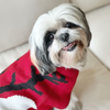 Dogobow Reindeer Knit Sweater for Dogs and Cats (Red) (Get a Bow Free) Both-Clothing & Accessories Dogobow Dropship