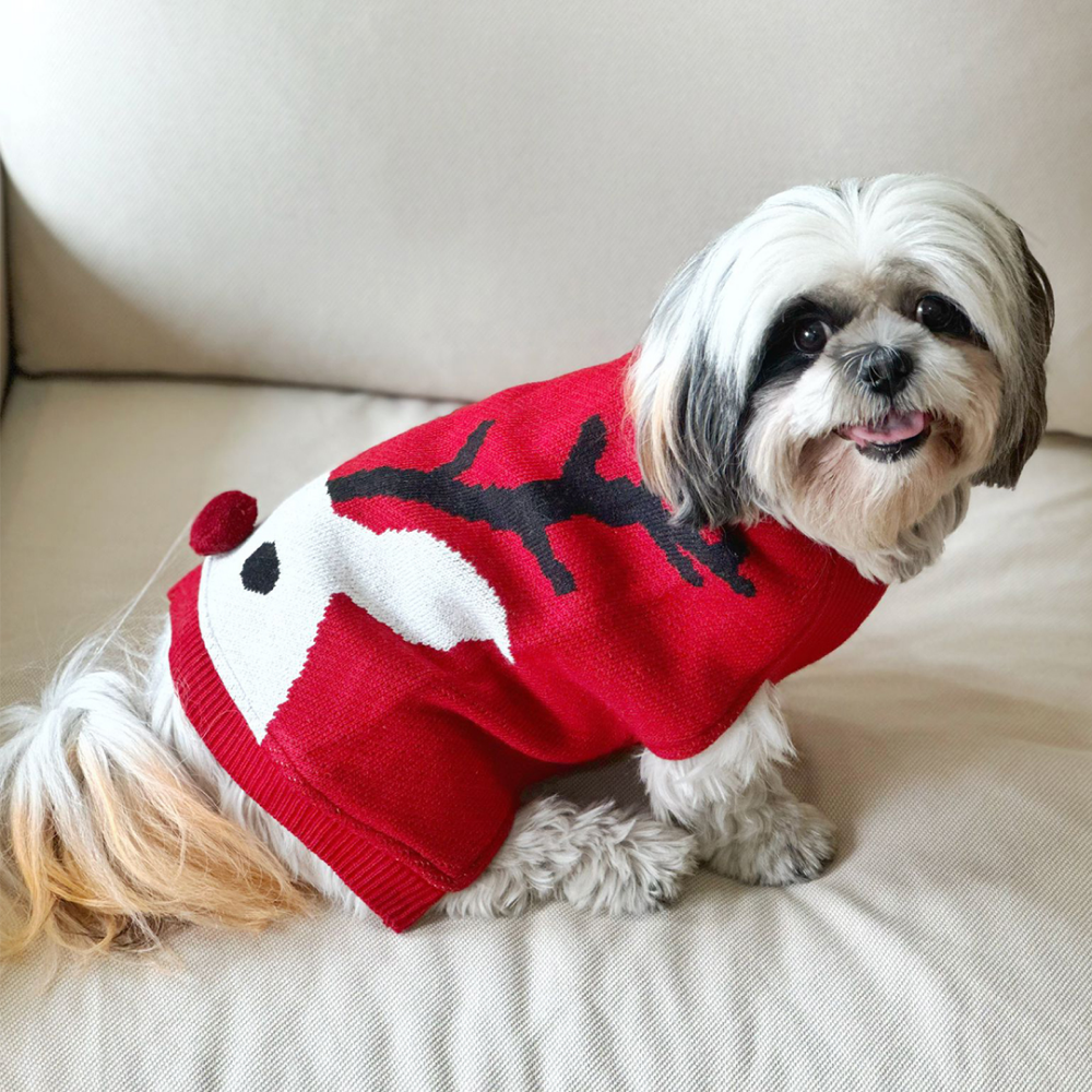 Dogobow Reindeer Knit Sweater for Dogs and Cats (Red/White) (Get a Bow Free)
