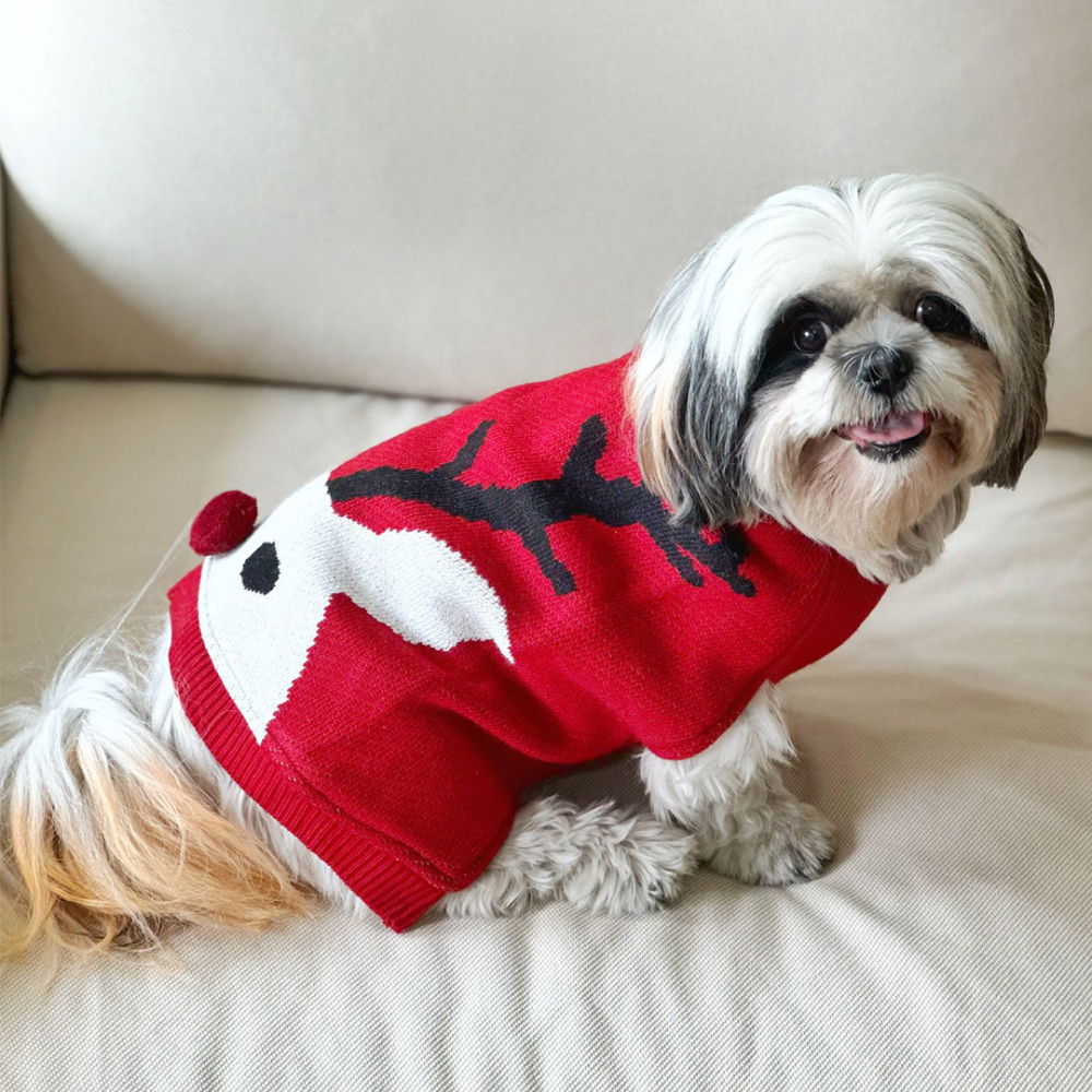 Dogobow Reindeer Knit Sweater for Dogs and Cats (Red) (Get a Bow Free)