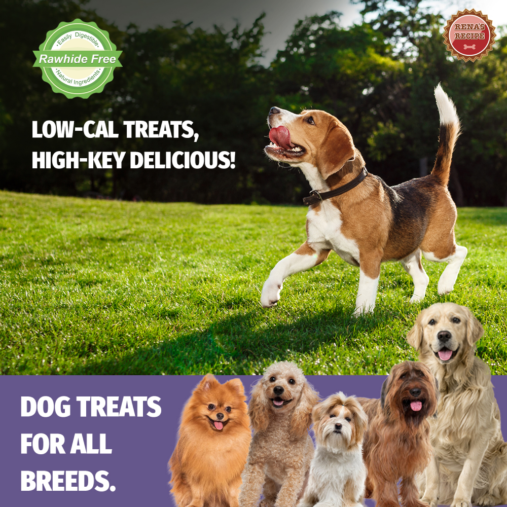 Rena Love Dumbbell Treats for Dogs (Buy 1 Get 1 Free) Dog Treats + Others Rena