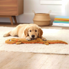 Zippy Paws Reptilez Bearded Dragon Rope Toy for Dogs Dogs-Toys Zippy Paws