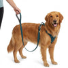 Ruffwear Front Range Leash for Dogs (Blue Moon) Dogs-Collar, Leashes, harnesses Ruffwear Dropship