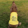 Skatrs No Tricks Only Treats Printed Summer Cotton T Shirt Dogs and Cats (Yellow)
