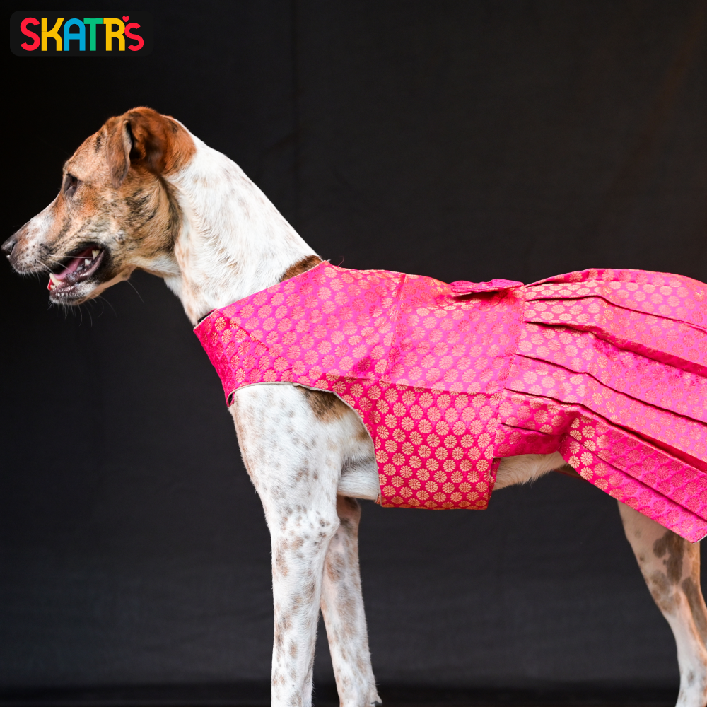 SKATRS Brocade Gold Printed Dress for Dogs and Cats (Pink)