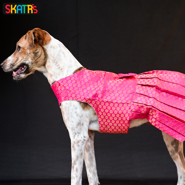 Skatrs Brocade Gold Printed Dress for Dogs and Cats (Pink)