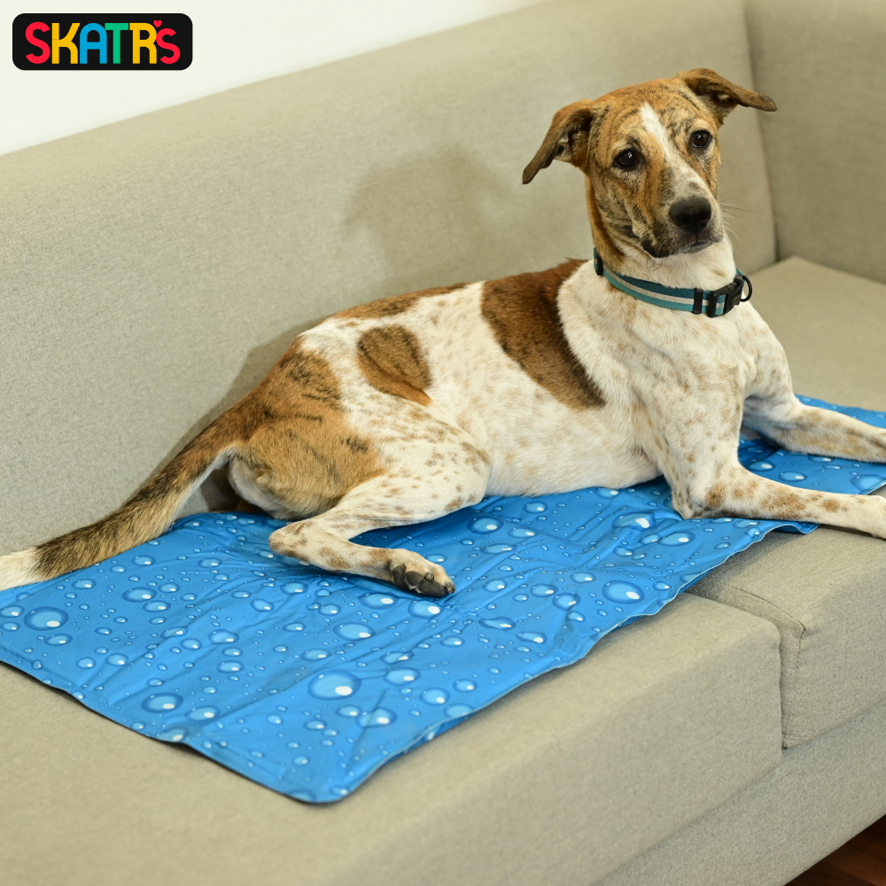 Skatrs Cooling Mat for Dogs (Blue)