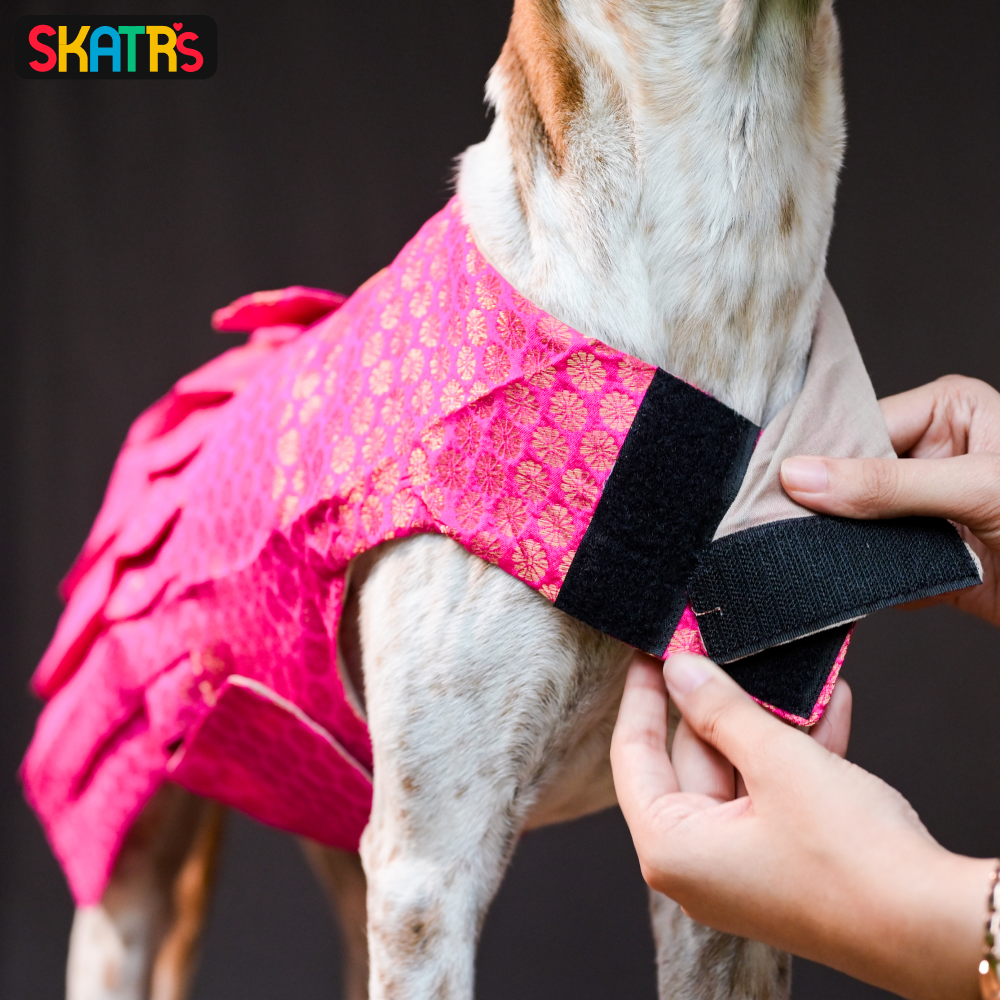 SKATRS Brocade Gold Printed Dress for Dogs and Cats (Pink)