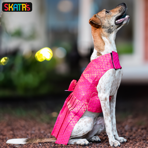 Skatrs Brocade Gold Printed Dress for Dogs and Cats (Pink)