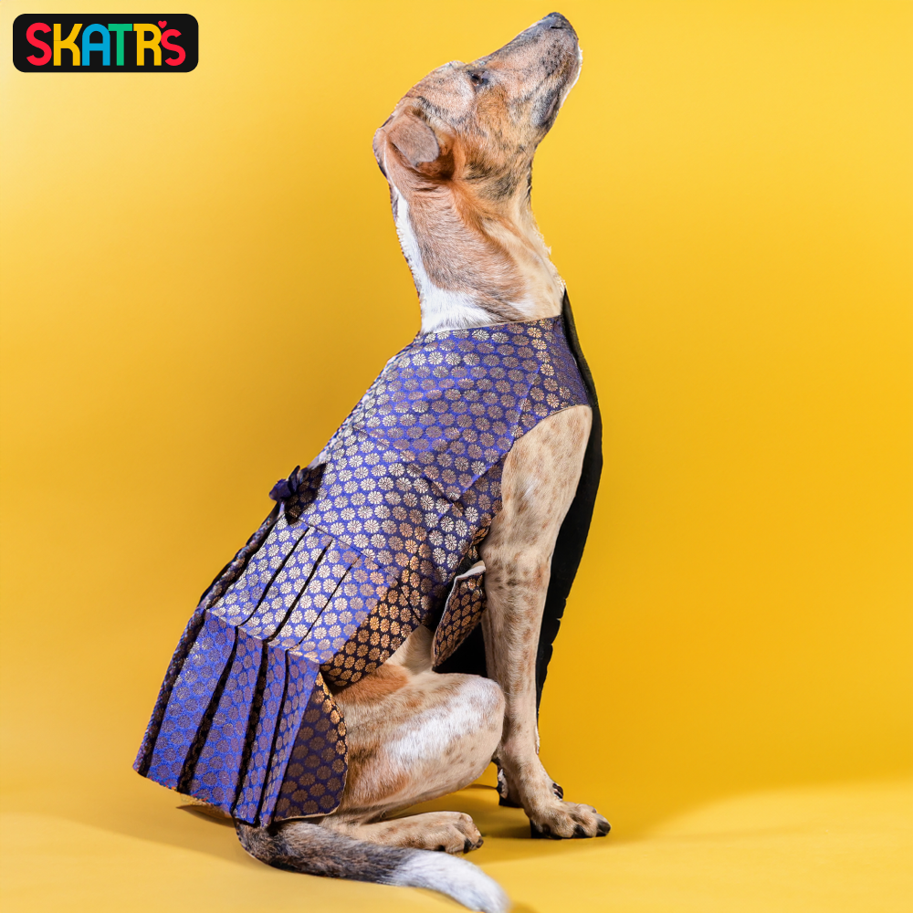 SKATRS Brocade Gold Printed Dress for Dogs and Cats (Blue)