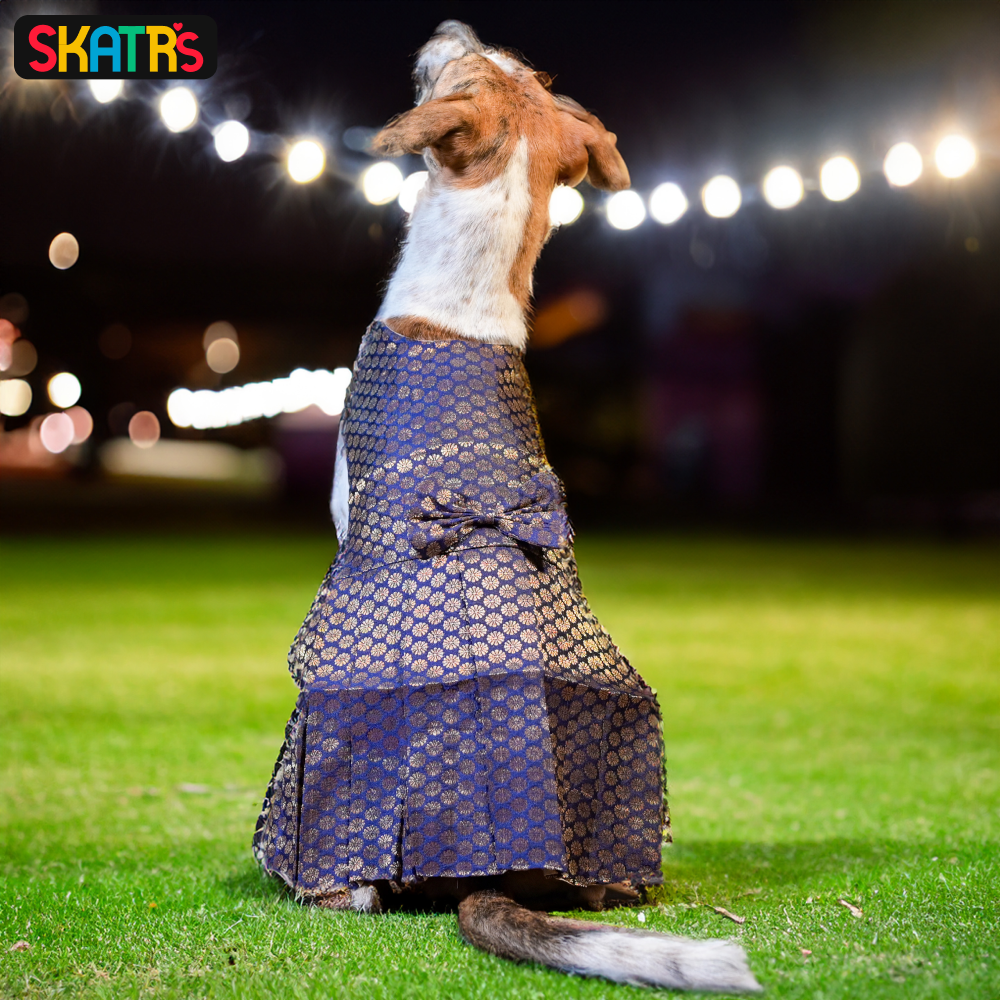 Skatrs Brocade Gold Printed Dress for Dogs and Cats (Blue) Both-Clothing & Accessories Skatrs
