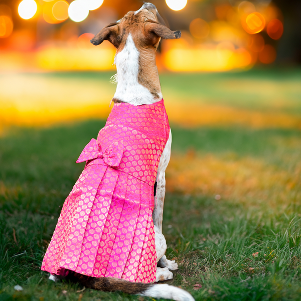 Skatrs Brocade Gold Printed Dress for Dogs and Cats (Pink)