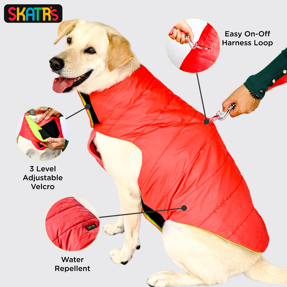Skatrs Red Puffer Reversible Jacket for Dogs and Cats | With Adjustable Baby Velcro