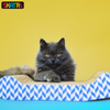 Skatrs Paw Lounge Cat Scratcher with Premium Catnip and Claw Tower Cat Tree with Hammock and Dual Scratching Post Toy Combo Cats-Toys Skatrs