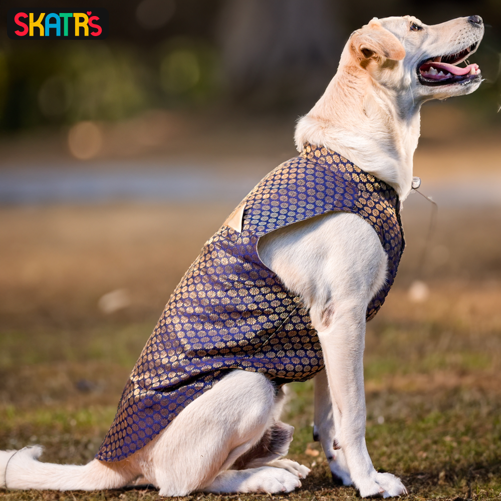 SKATRS Brocade Gold Printed Kurta for Dogs and Cats (Blue)