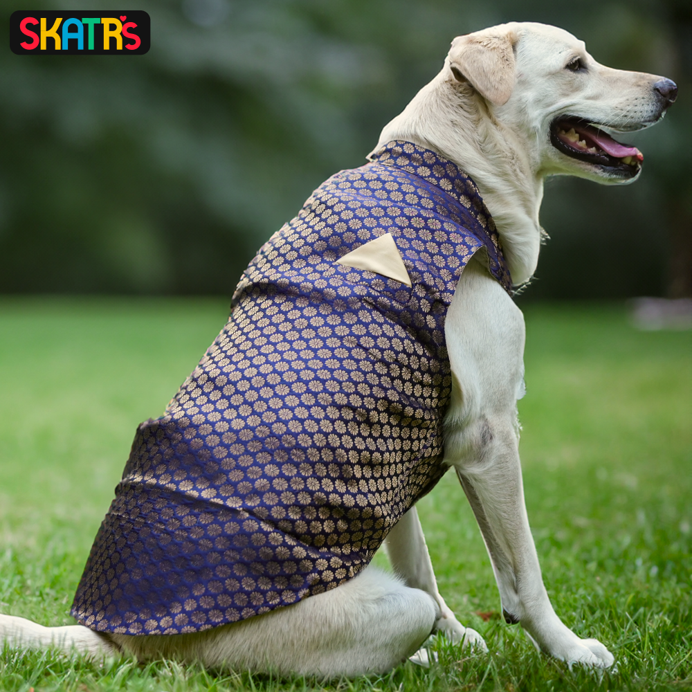 SKATRS Brocade Gold Printed Kurta for Dogs and Cats (Blue)