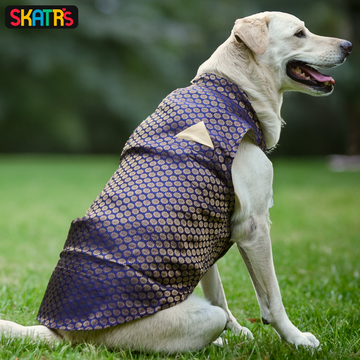 Skatrs Brocade Gold Printed Sherwani for Dogs and Cats (Blue)