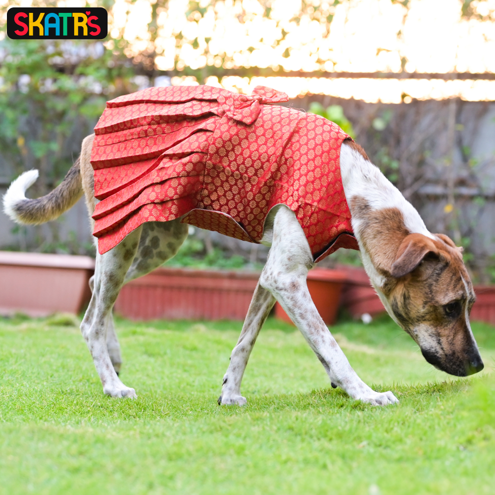 Skatrs Brocade Gold Printed Dress for Dogs and Cats (Red) Both-Clothing & Accessories Skatrs