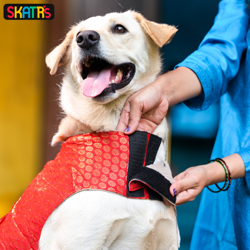 Skatrs Brocade Gold Printed Dress for Dogs and Cats (Red) Both-Clothing & Accessories Skatrs