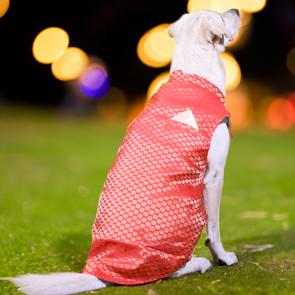 Skatrs Brocade Gold Printed Sherwani for Dogs and Cats (Red) Both-Clothing & Accessories Skatrs XS