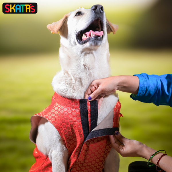 Skatrs Brocade Gold Printed Sherwani for Dogs and Cats (Red)