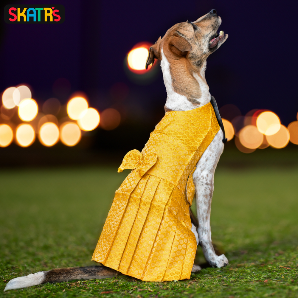 SKATRS Brocade Gold Printed Dress for Dogs and Cats (Yellow)