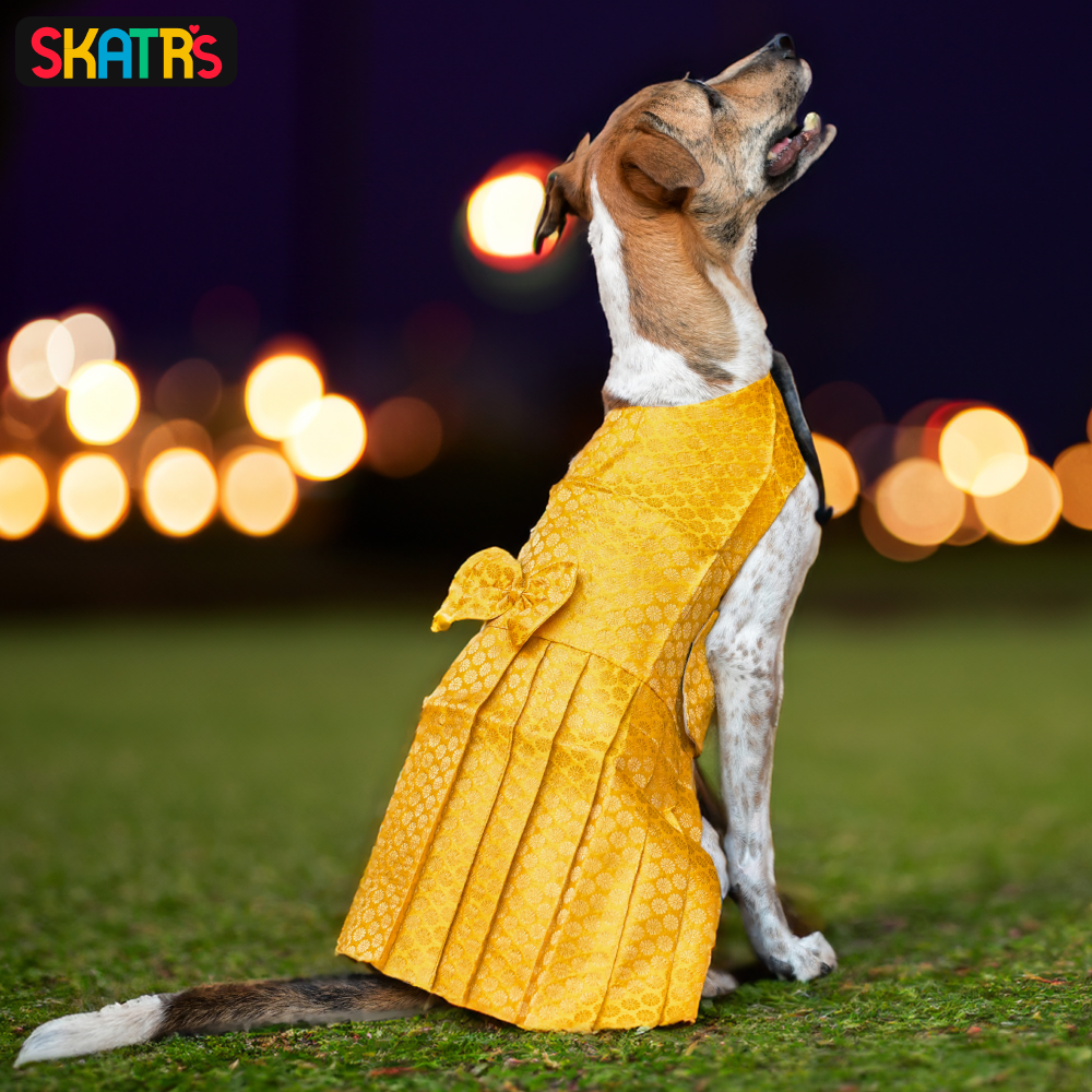 Skatrs Brocade Gold Printed Dress for Dogs and Cats (Yellow) Both-Clothing & Accessories Skatrs