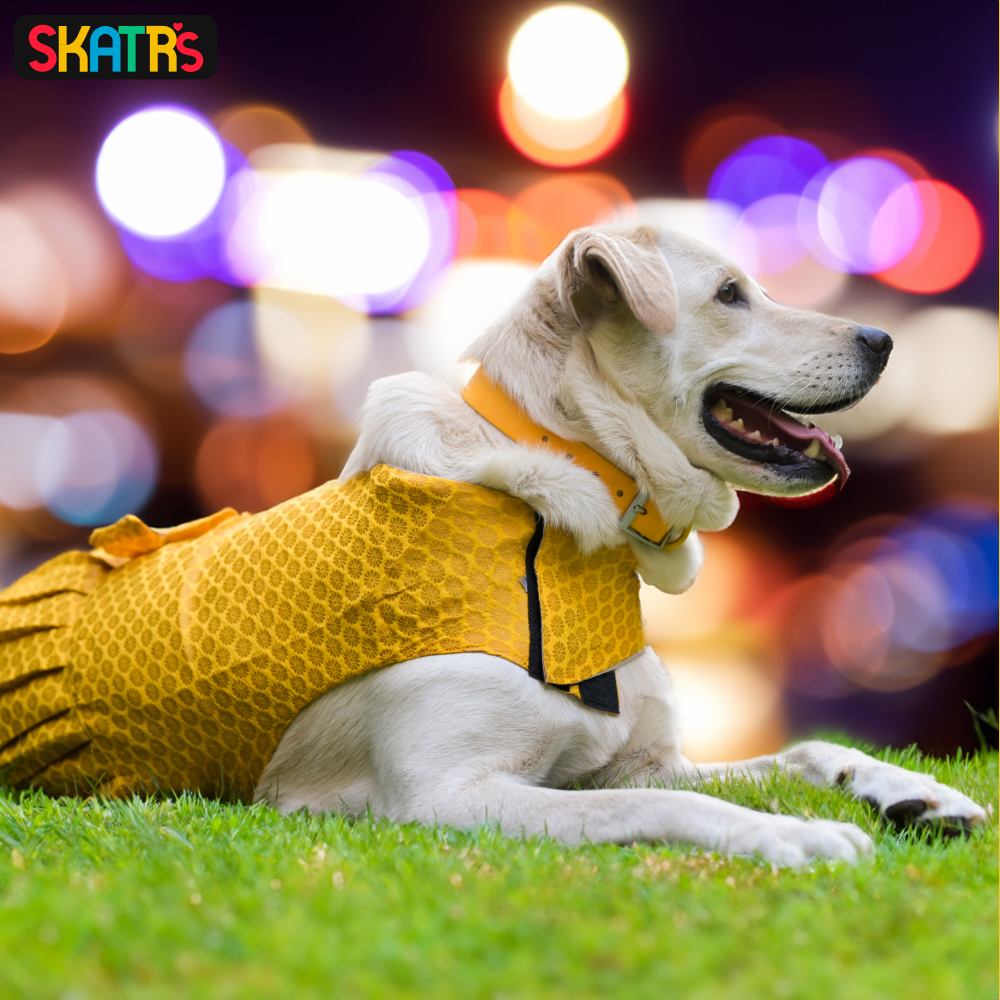 SKATRS Brocade Gold Printed Dress for Dogs and Cats (Yellow)