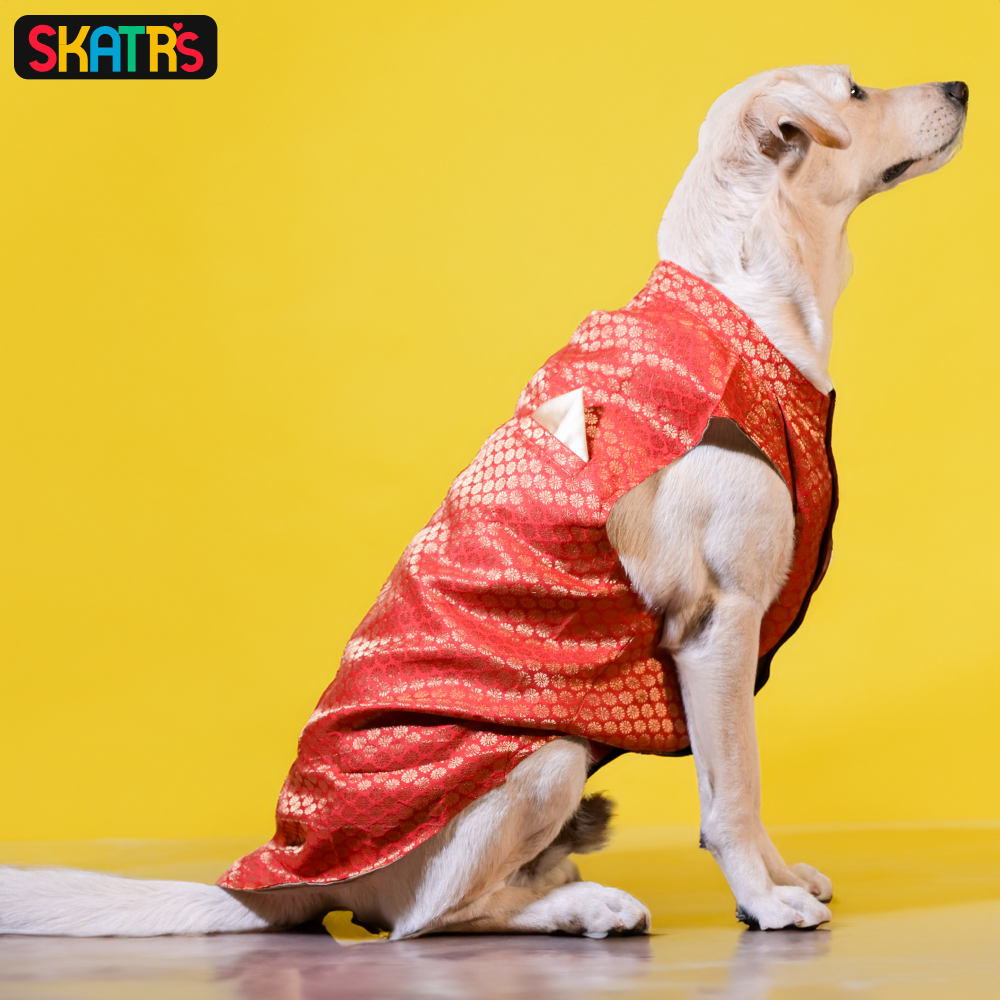 SKATRS Brocade Gold Printed Kurta for Dogs and Cats (Red)