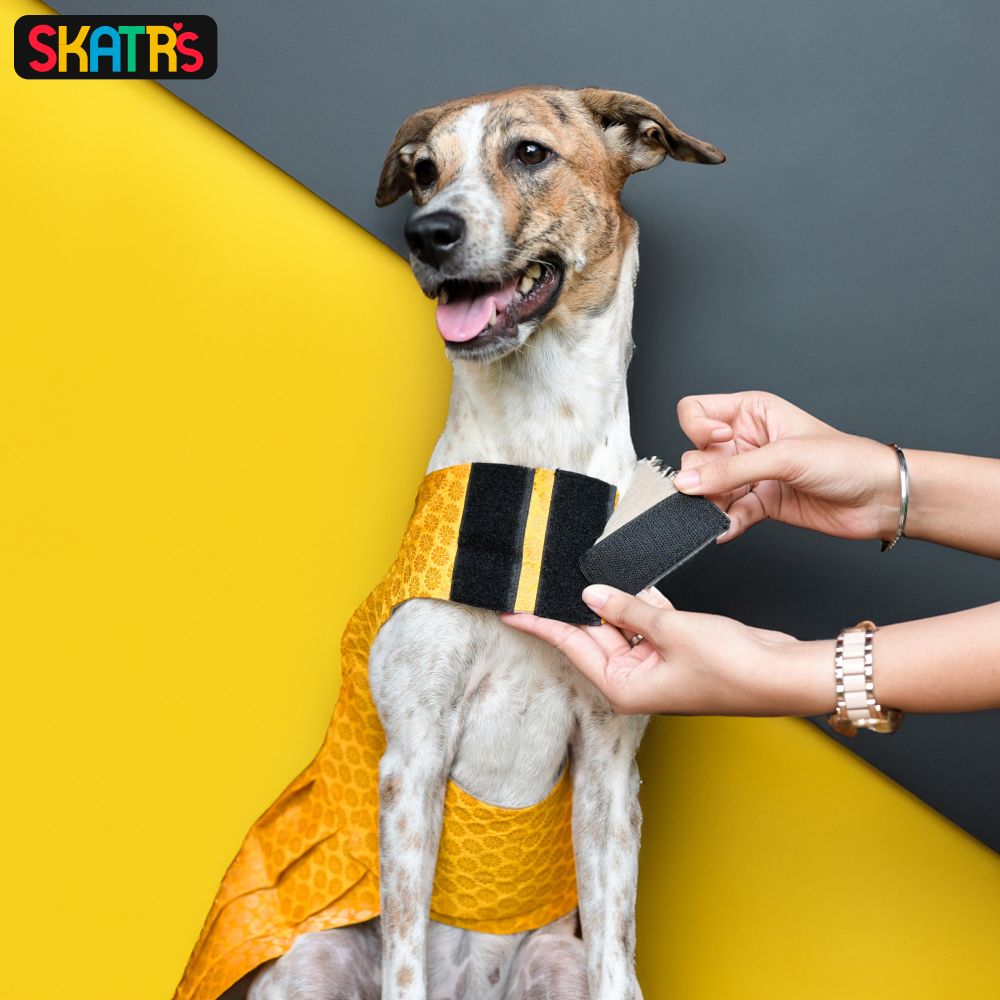 Skatrs Brocade Gold Printed Dress for Dogs and Cats (Yellow) Both-Clothing & Accessories Skatrs