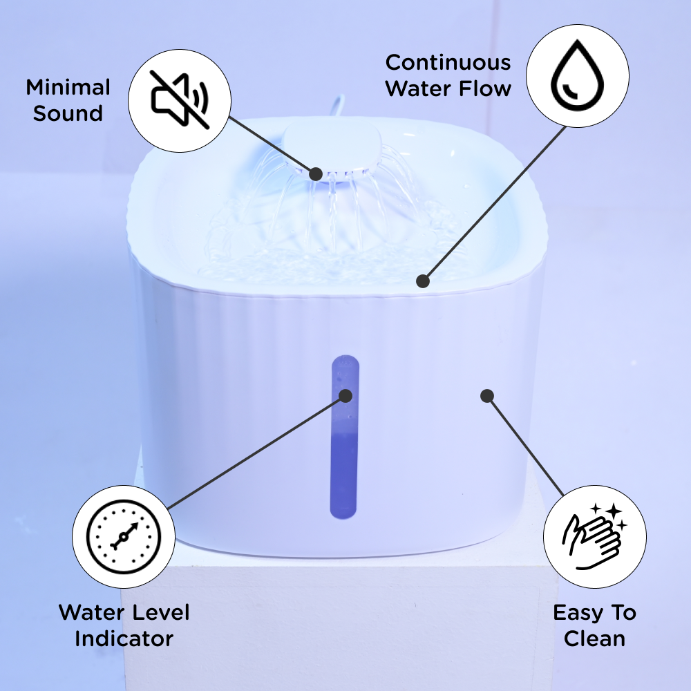 Skatrs Water Fountain with Adapter for Dogs and Cats (White) Rewards Both-Bowls & Feeders Skatrs