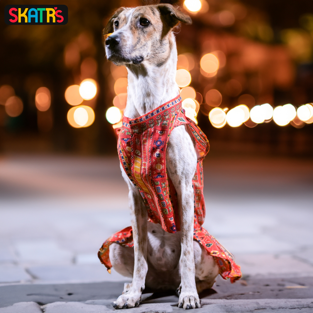 SKATRS Cotton Printed Dress for Dogs and Cats (Red)