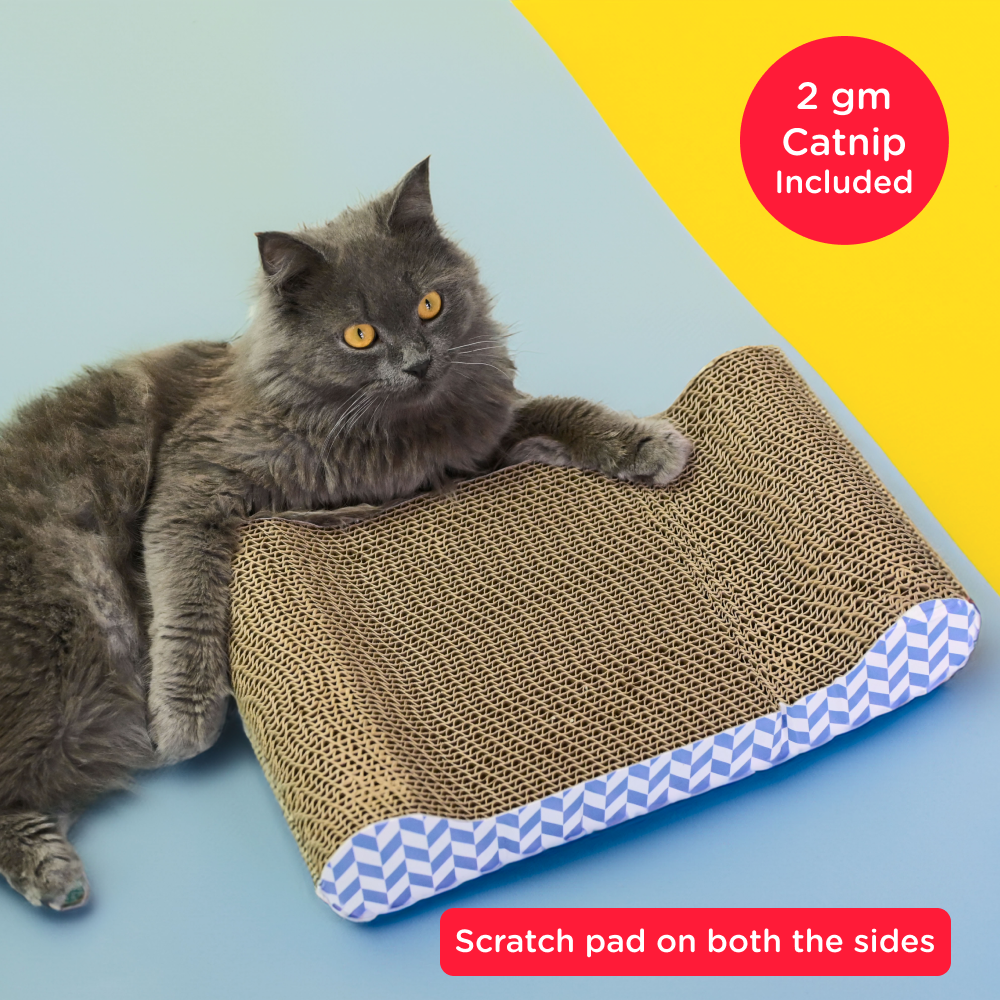 SKATRS Paw Lounge Scratcher Pad Toy for Cats (Length 38cm)