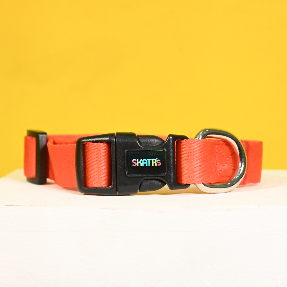 Skatrs Premium Adjustable Collar for Dogs (Red) Dogs-Collar, Leashes, harnesses Skatrs L:18-26 in Neck