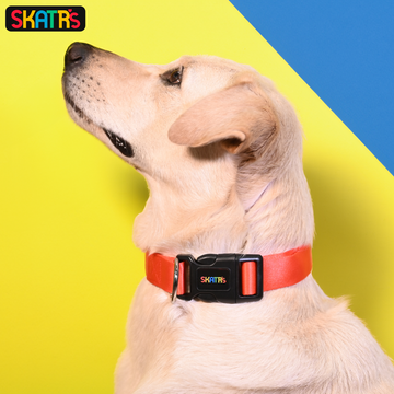 Skatrs Premium Adjustable Collar for Dogs (Red)