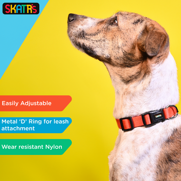 Skatrs Premium Adjustable Collar for Dogs (Red)