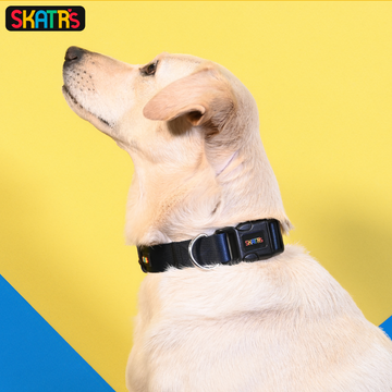 Skatrs Premium Adjustable Collar for Dogs (Dark Blue)