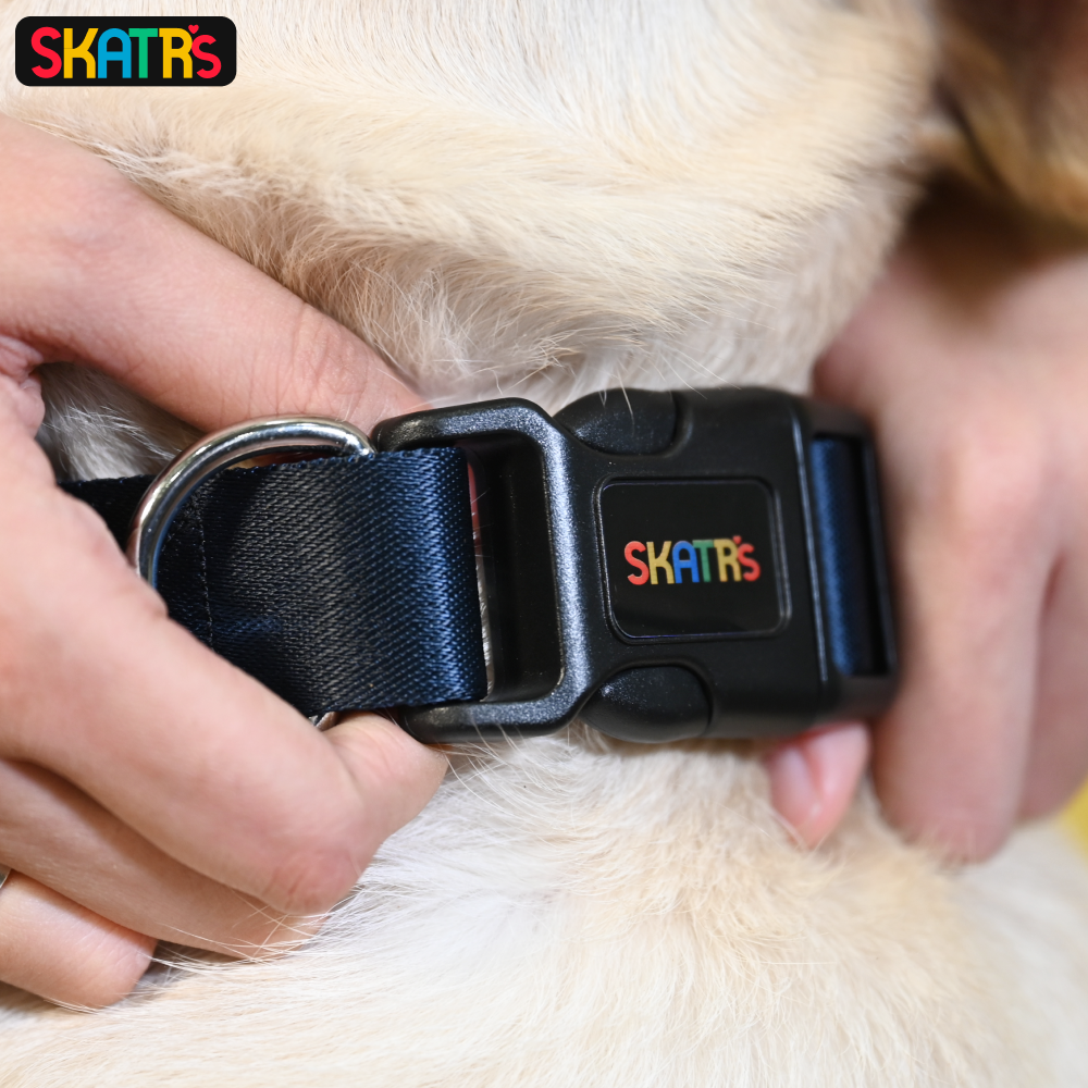 SKATRS Premium Adjustable Collar for Dogs (Dark Blue)